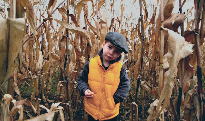 Corn Mazes and Pumpkin Patches