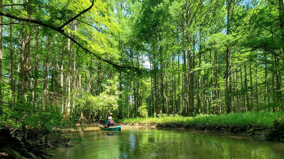 Wolf_RIver_Paddling_1.jpg