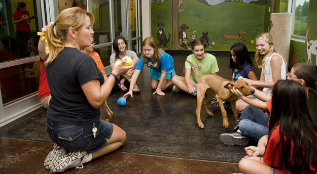 Junior KPAW kids discover animal care goes beyond playing with and grooming a pet.