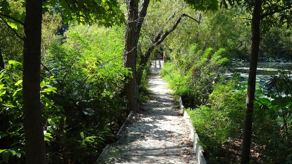 Lakeside trail with foliage.jpg
