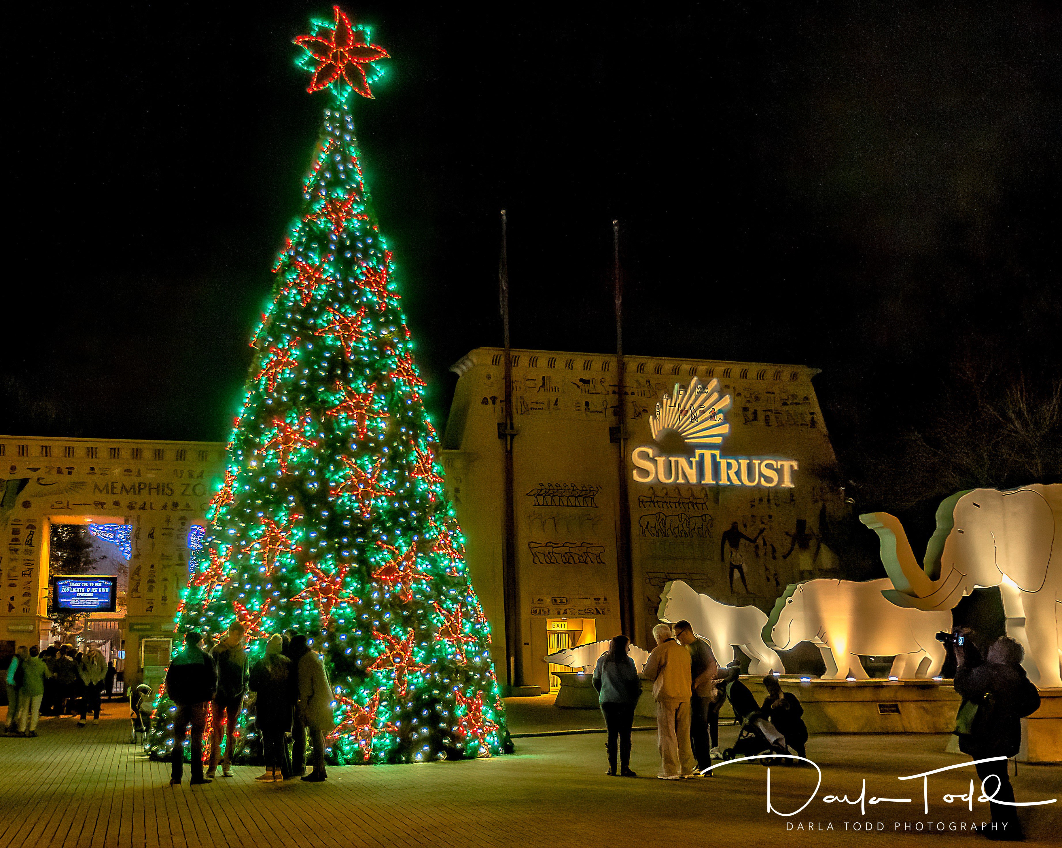 can i take my dogs to zoo lights memphis