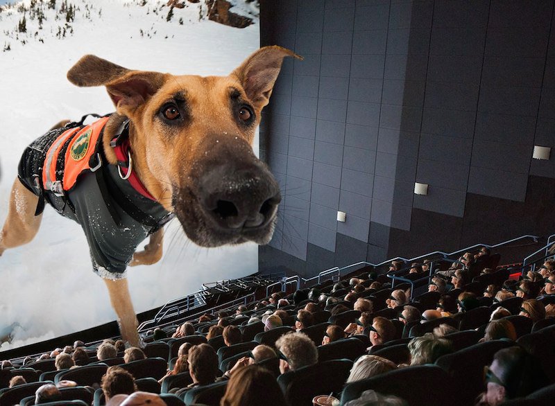 Superpower Dogs 3D, CTI Giant Theater